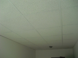 Desinfizierung-Renovierung (16).JPG